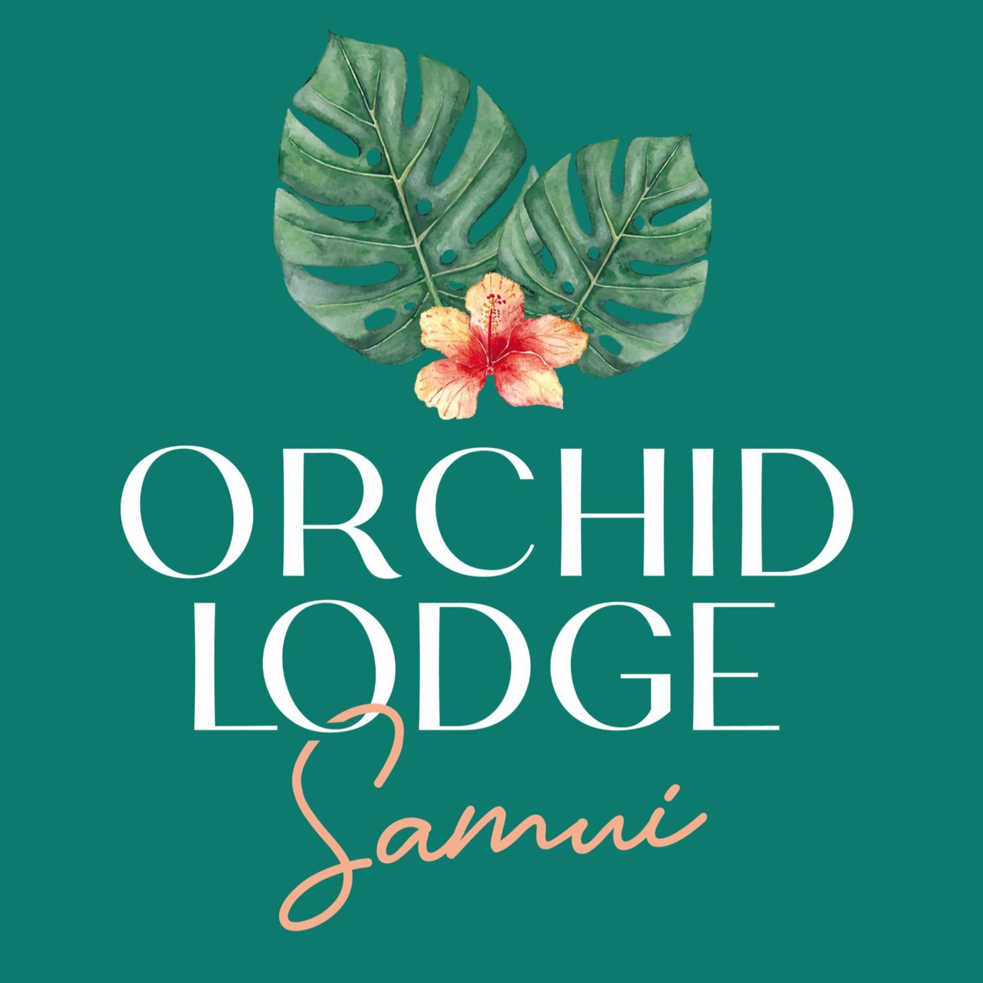 Orchid Lodge Samui - Bed & Breakfast Lamai Beach  Eksteriør billede