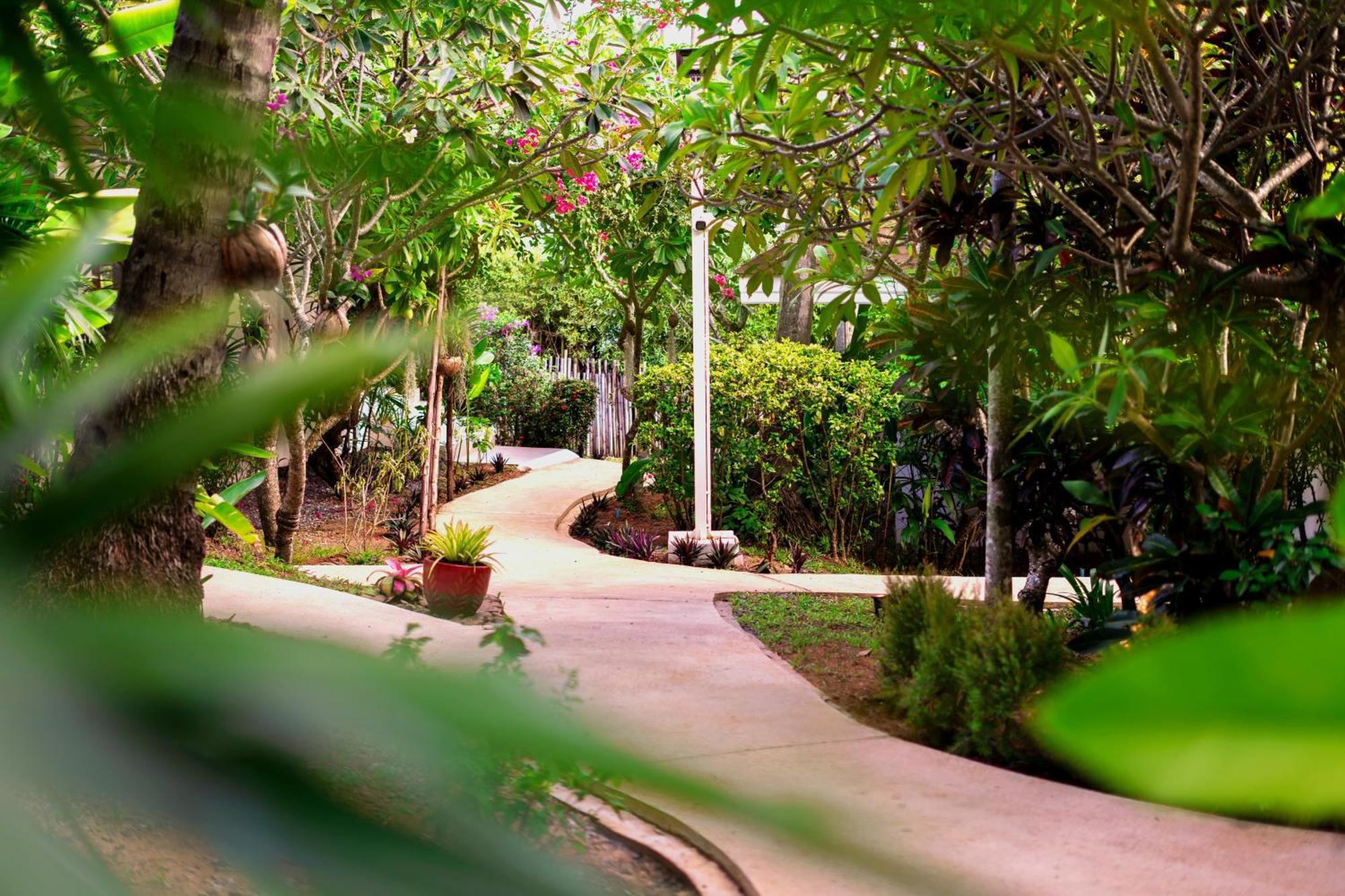 Orchid Lodge Samui - Bed & Breakfast Lamai Beach  Eksteriør billede