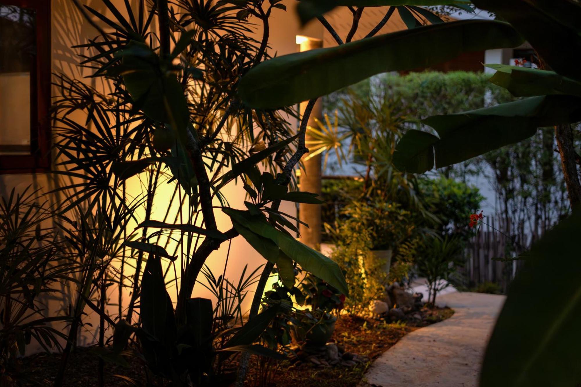 Orchid Lodge Samui - Bed & Breakfast Lamai Beach  Værelse billede